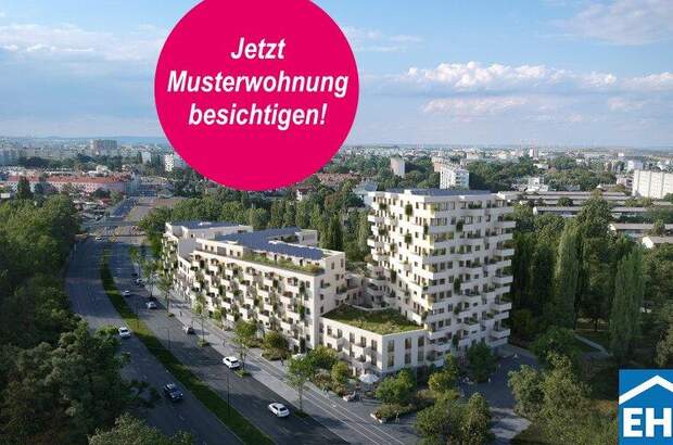 Terrassenwohnung mieten in 1220 Wien (Bild 1)