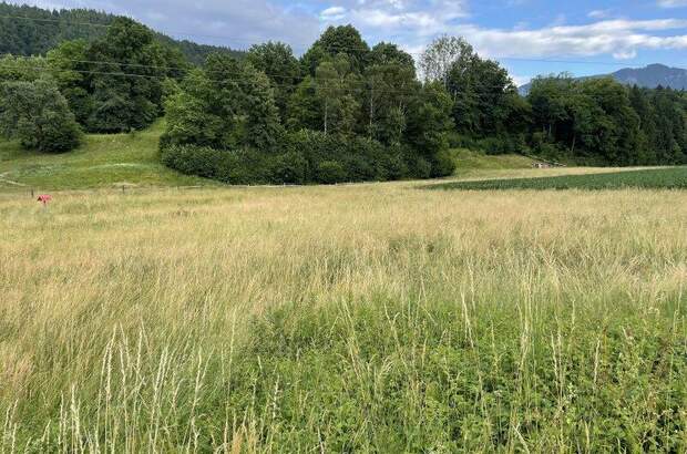 Bauernhaus kaufen in 9132 Gallizien (Bild 4)