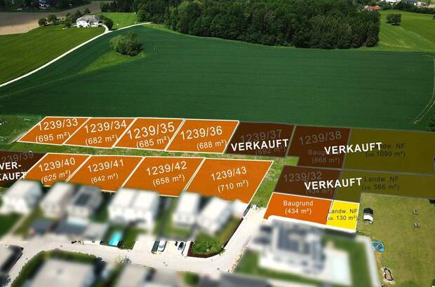 Grundstück kaufen in 4223 Katsdorf (Bild 3)