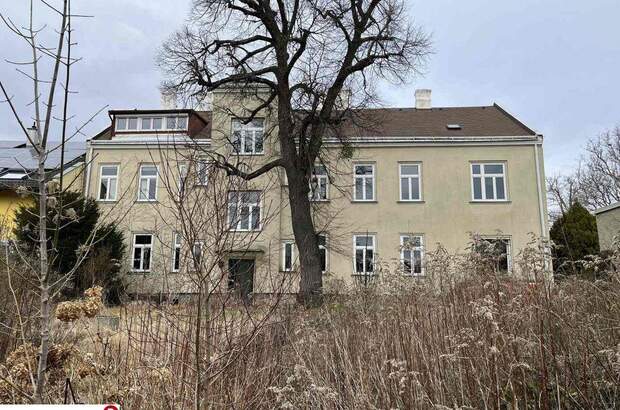Haus kaufen in 2460 Bruck an der Leitha (Bild 4)