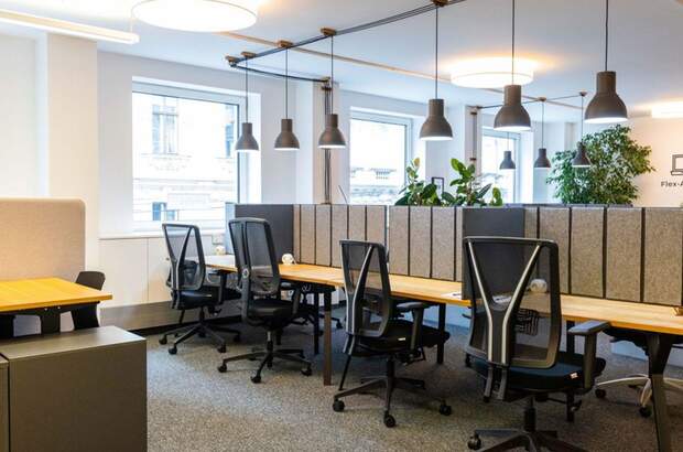 Gewerbeobjekt mieten in 1010 Wien (Bild 4)