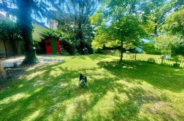 Altbauwohnung mieten in 2100 Korneuburg (Bild 2)