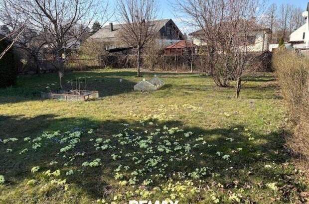 Einfamilienhaus kaufen in 3434 Katzelsdorf (Bild 5)