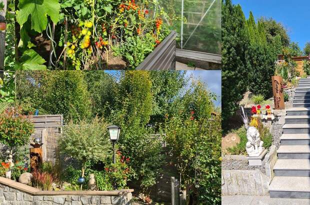 Haus mit Garten kaufen in 4174 Niederwaldkirchen (Bild 1)