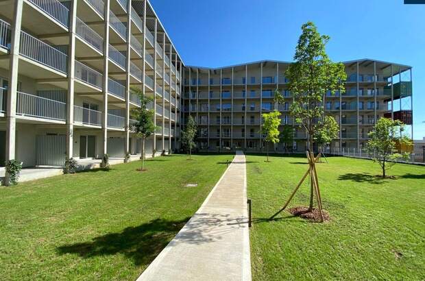 Wohnung mit Balkon mieten in 8020 Graz (Bild 1)