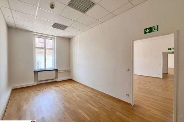 Gewerbeobjekt mieten in 2340 Mödling (Bild 3)