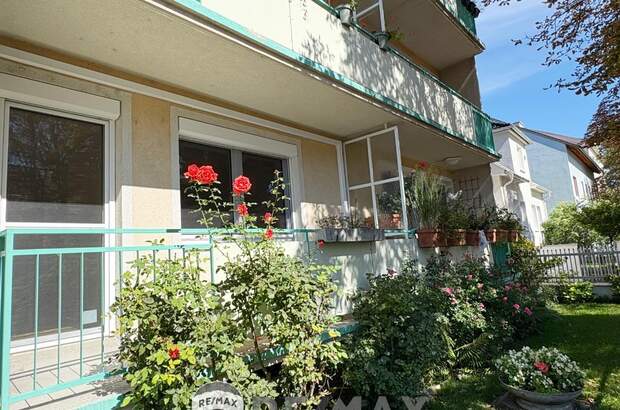 Terrassenwohnung kaufen in 2340 Mödling (Bild 1)