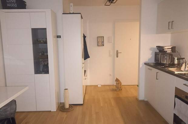 Wohnung mit Balkon mieten in 1230 Wien (Bild 2)