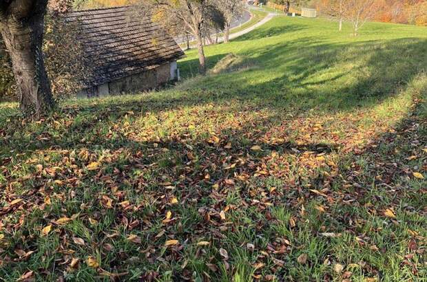 Grundstück kaufen in 8282 Bad Loipersdorf (Bild 5)