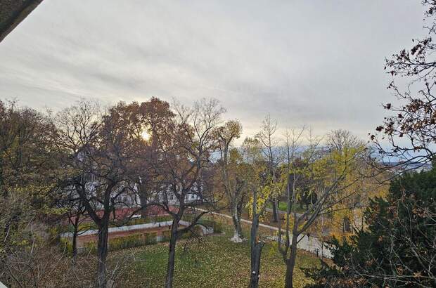 Wohnung mit Balkon kaufen in 1020 Wien