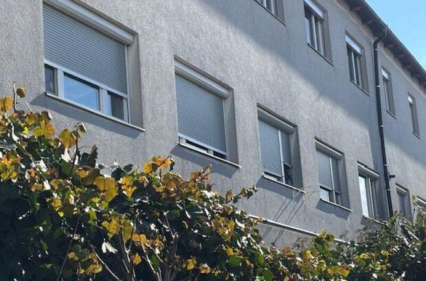 Wohnung kaufen in 2353 Guntramsdorf (Bild 1)