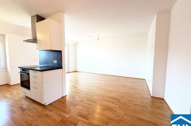 Terrassenwohnung mieten in 1030 Wien (Bild 3)