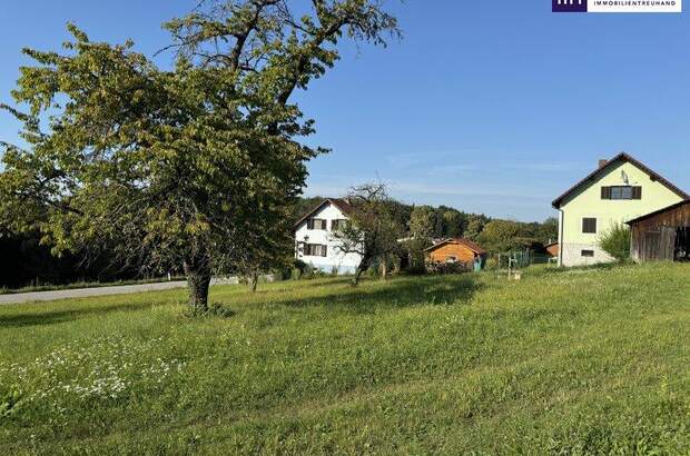 Grundstück kaufen in 8074 Grambach (Bild 1)