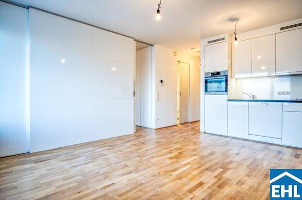 Terrassenwohnung mieten in 1030 Wien (Bild 3)
