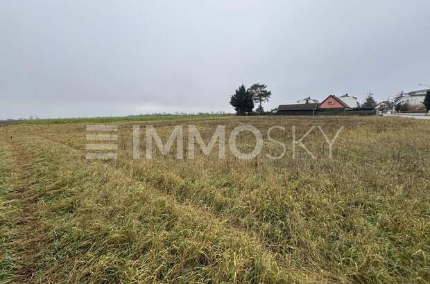 Grundstück kaufen in 2201 Kapellerfeld (Bild 1)