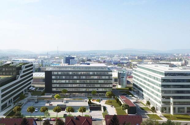 Gewerbeobjekt mieten in 1230 Wien (Bild 3)