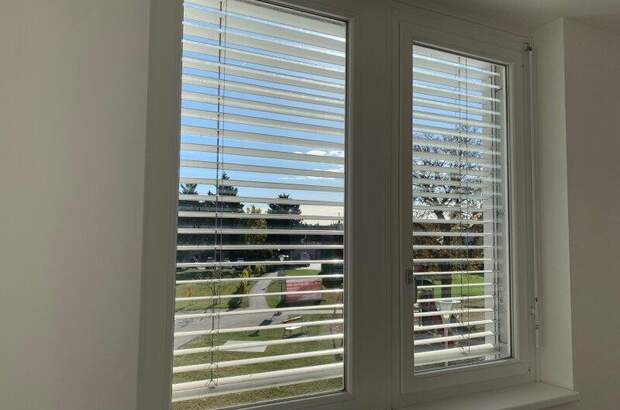 Büro / Praxis mieten in 2353 Guntramsdorf (Bild 4)