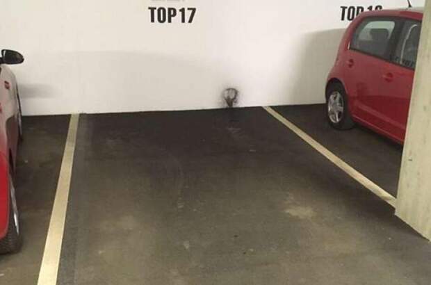 Immobilie kaufen in 6060 Hall (Bild 2)