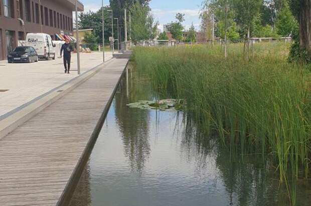 Wohnung mieten in 8020 Graz (Bild 2)