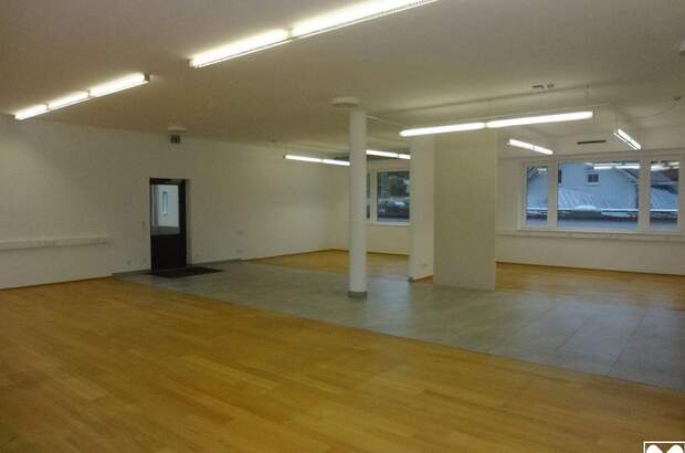 Gewerbeobjekt mieten in 8243 Pinggau (Bild 5)