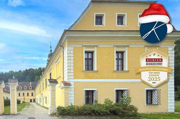 Wohnanlage kaufen in 3500 Krems (Bild 1)