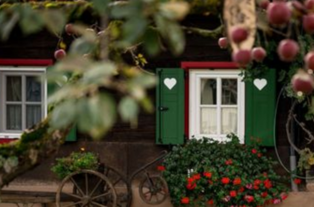 Haus mit Garten kaufen in 8510 Stainz (Bild 3)