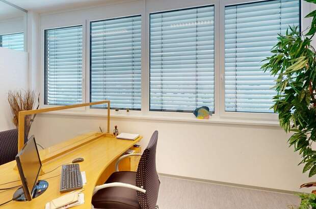 Gewerbeobjekt mieten in 8430 Leibnitz (Bild 3)