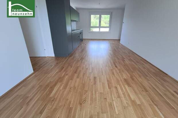 Terrassenwohnung mieten in 3100 St. Pölten (Bild 3)