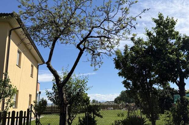Wohnung mit Balkon kaufen in 4483 Hargelsberg (Bild 3)