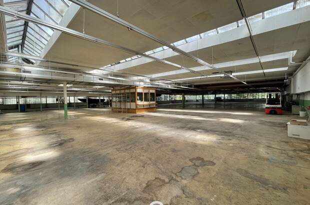 Gewerbeobjekt mieten in 4881 Straß (Bild 1)