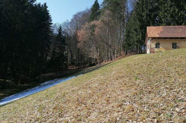 Gewerbeobjekt kaufen in 8461 Ehrenhausen (Bild 2)