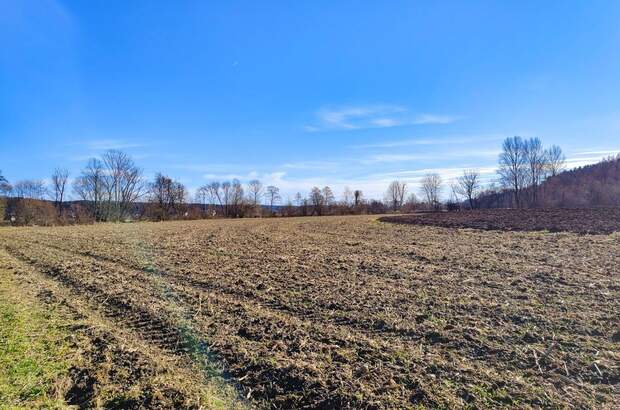 Gewerbeobjekt kaufen in 8561 Söding (Bild 1)