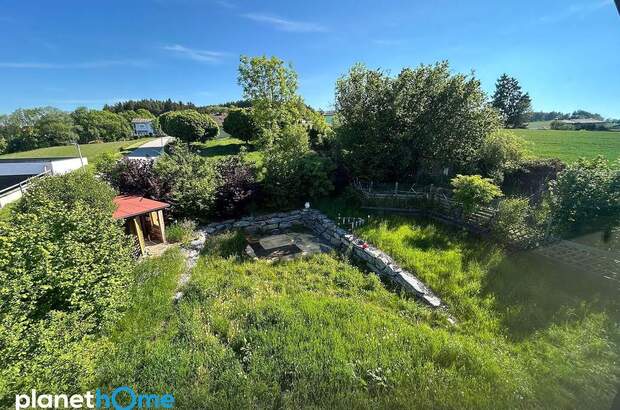 Einfamilienhaus kaufen in 2802 Hochwolkersdorf (Bild 2)