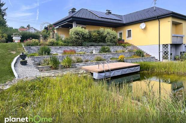 Einfamilienhaus kaufen in 4202 Kirchschlag (Bild 2)