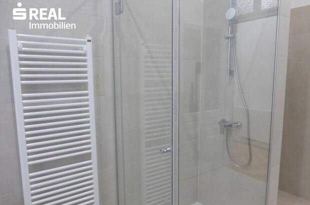 Terrassenwohnung mieten in 1010 Wien (Bild 5)