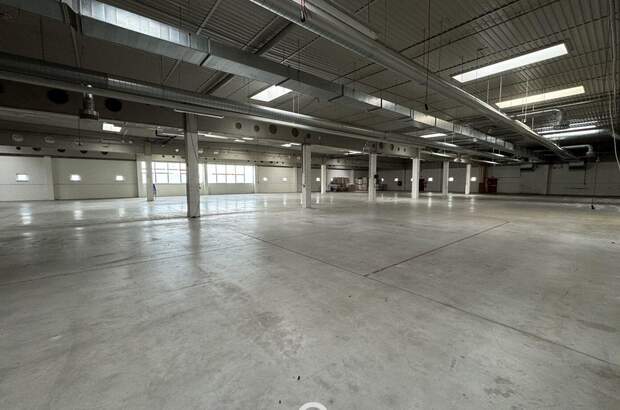 Gewerbeobjekt mieten in 4844 Regau (Bild 2)