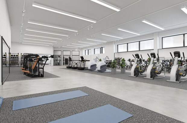 Gewerbeobjekt mieten in 1220 Wien (Bild 4)