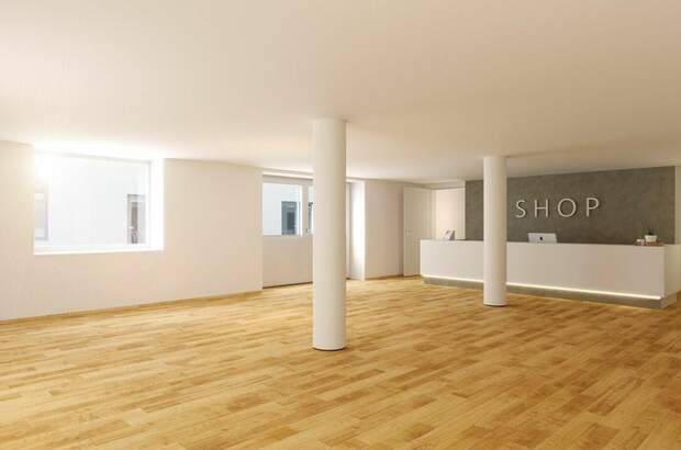 Gewerbeobjekt mieten in 4020 Linz (Bild 1)