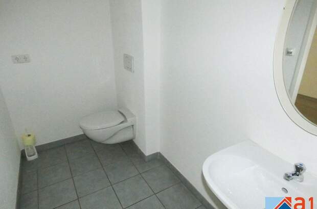 Gewerbeobjekt mieten in 4050 Traun (Bild 3)