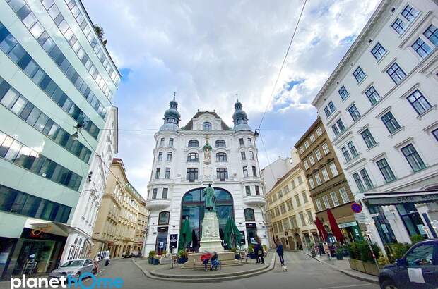Terrassenwohnung mieten in 1010 Wien (Bild 1)