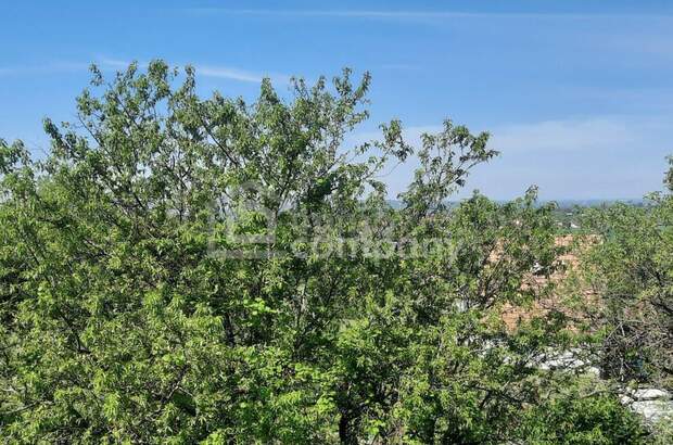 Haus mit Garten kaufen in 2836 Baj (Bild 1)