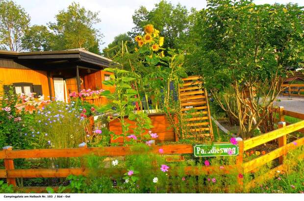 Ferienhaus kaufen in 3162 Rainfeld (Bild 2)