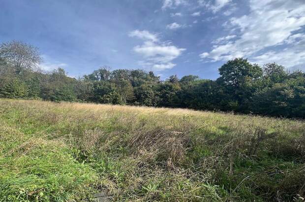 Grundstück kaufen in 8410 Allerheiligen (Bild 5)