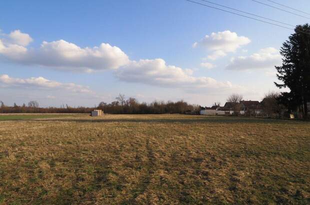 Grundstück kaufen in 4064 Oftering (Bild 2)