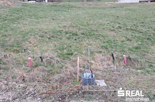 Grundstück kaufen in 4463 Großraming (Bild 5)
