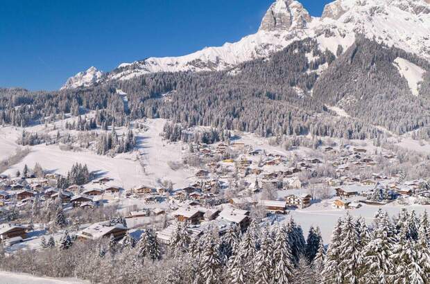 Wohnung mit Balkon kaufen in 5761 Maria Alm (Bild 2)