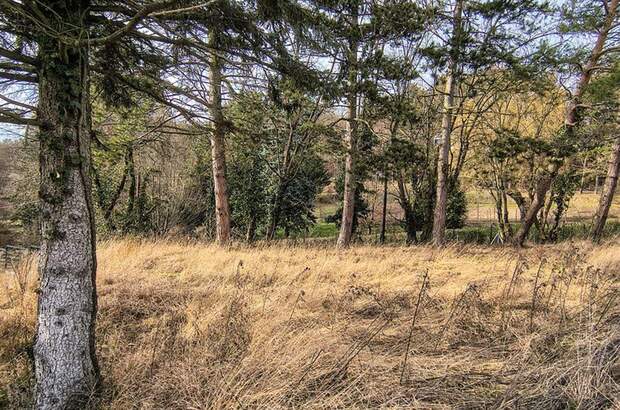 Grundstück kaufen in 1170 Wien (Bild 1)