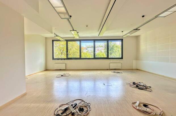 Gewerbeobjekt mieten in 1090 Wien (Bild 5)