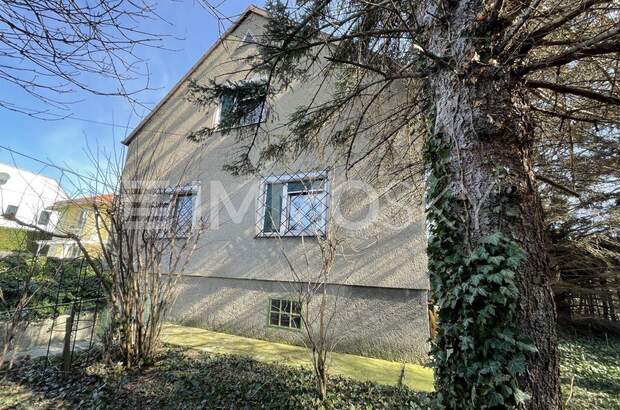 Einfamilienhaus kaufen in 1220 Wien (Bild 3)