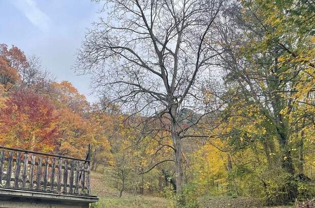 Grundstück kaufen in 3400 Klosterneuburg (Bild 1)